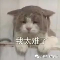DƬ